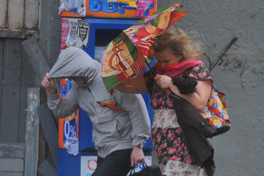 � ��� � 2024 ���� ������� ����� ������� �������� �������