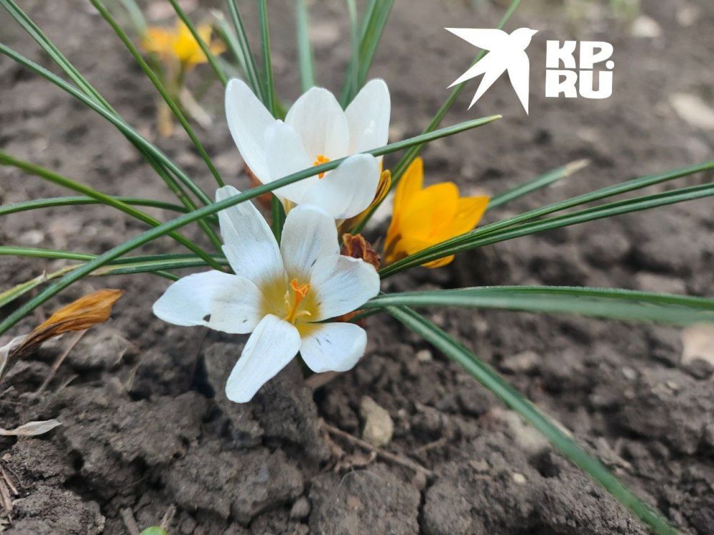 ����� ������� � ������������ ��������!