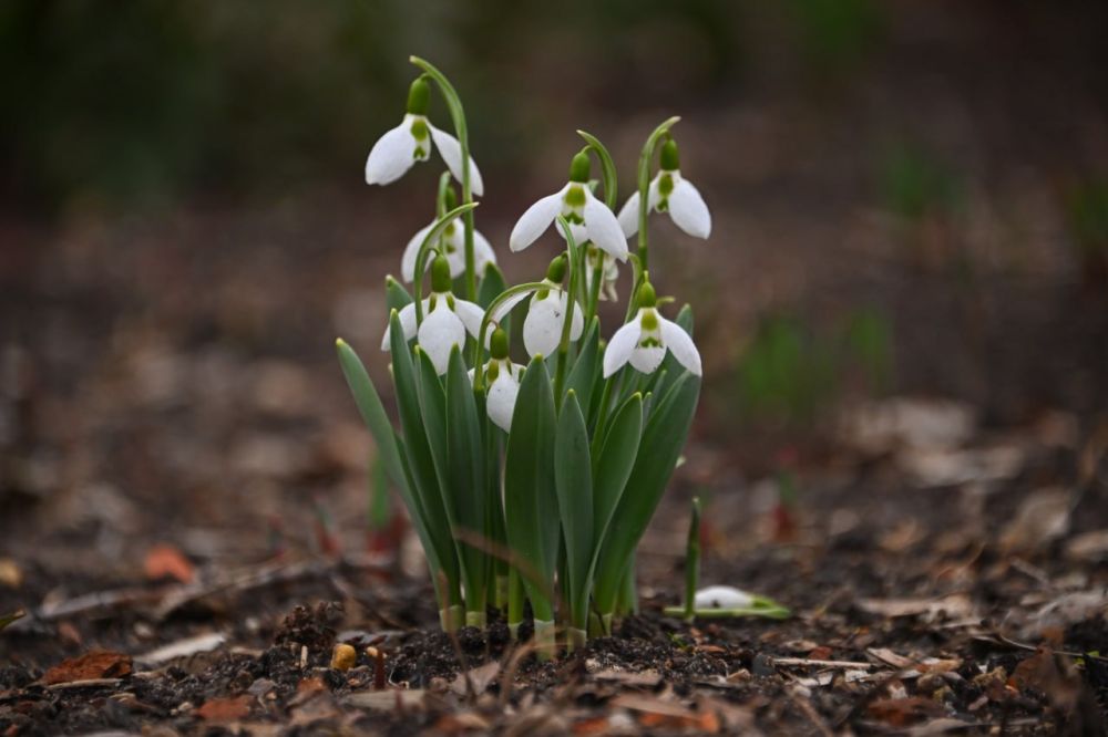 � �������� ��������� ������������ �� +14 �������� 23 �����