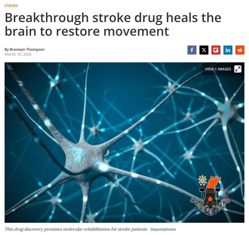 ������� - �Ѩ. ������ ����� ��������, ������� ����� ��������� ������������ ���� ����� �������������. ����� �������� DDL-920 �������� ������������ ��������� �����, ������� ����������� �� ����� ��������, � ������� �����������...