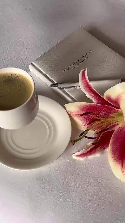 ������ ������ � ��� ����� ������