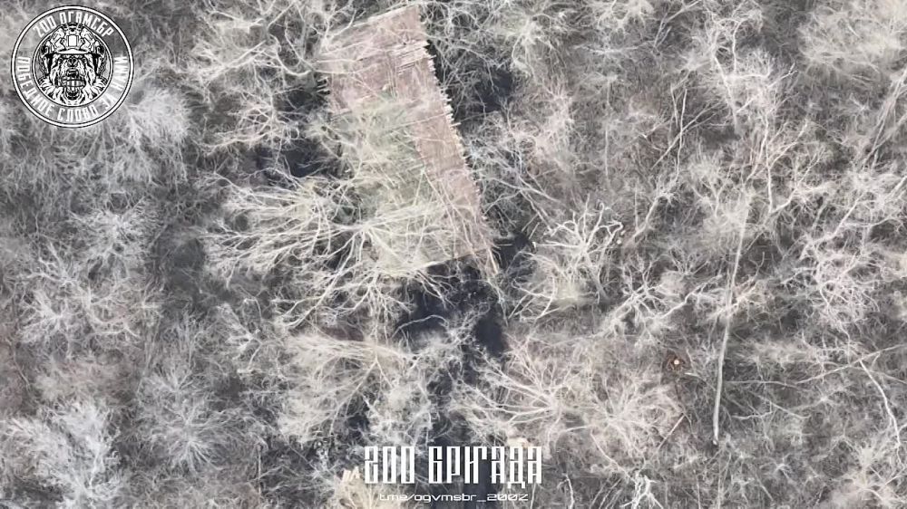 200 ����� �� �� � ����������� FPV-������ �������� �������� ��� PzH 2000 � ���������� �������� ������ KVERTUS MS AZIMUTH �� ������� �����������