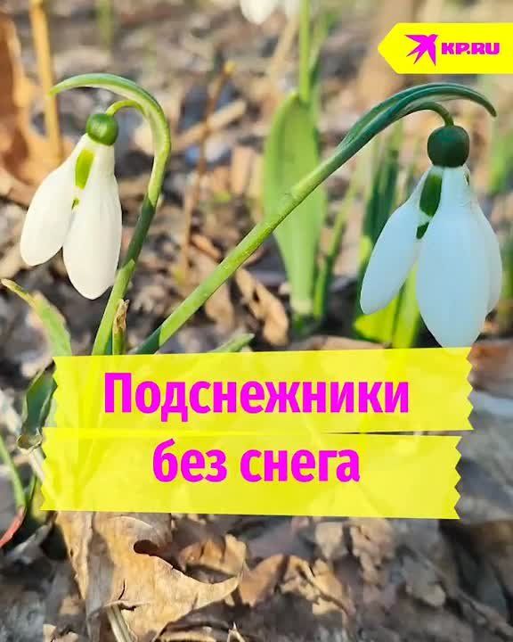 ����� ������� ������ � ����� ��������� ������ �����������