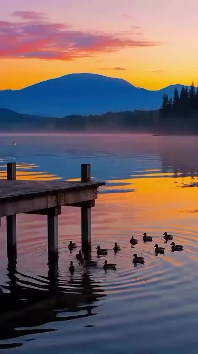 ��������� ����! ���� ������, ����� ����� ����� � ������� � ����� �����, � ��� �� ���� �������