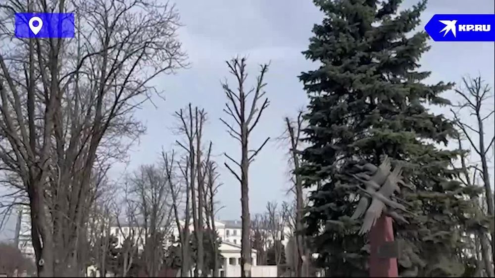 � ��� ������� ������ �������� �� �������� ���