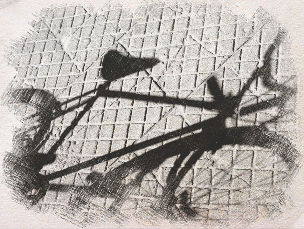 ������ ������������� �������� �� ����� ���������� � 14-������� ���������