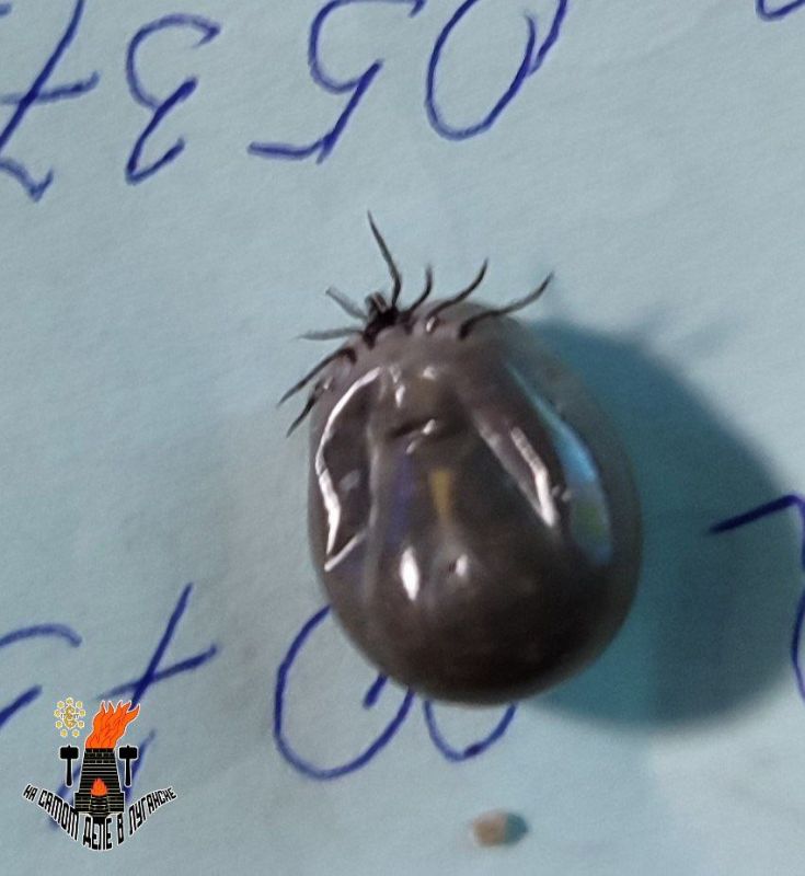 ����� ����� �� �����, ������ ���������