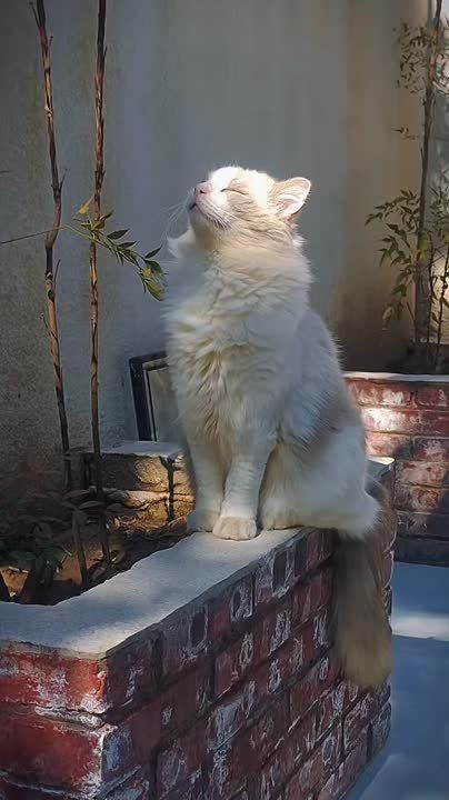 �������� � ����� ��� ������ ������, ��� � ���� �� ���