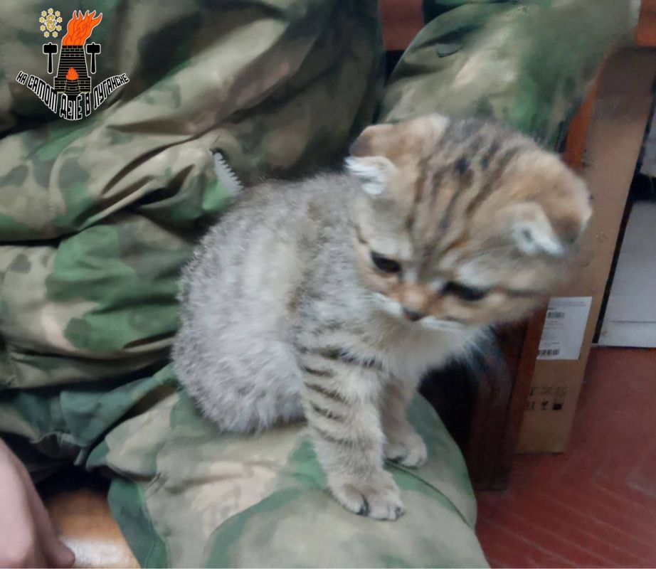 "������ �����" � "������� �����"