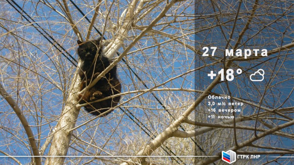 ������ ����, ��������� �������� ����������!