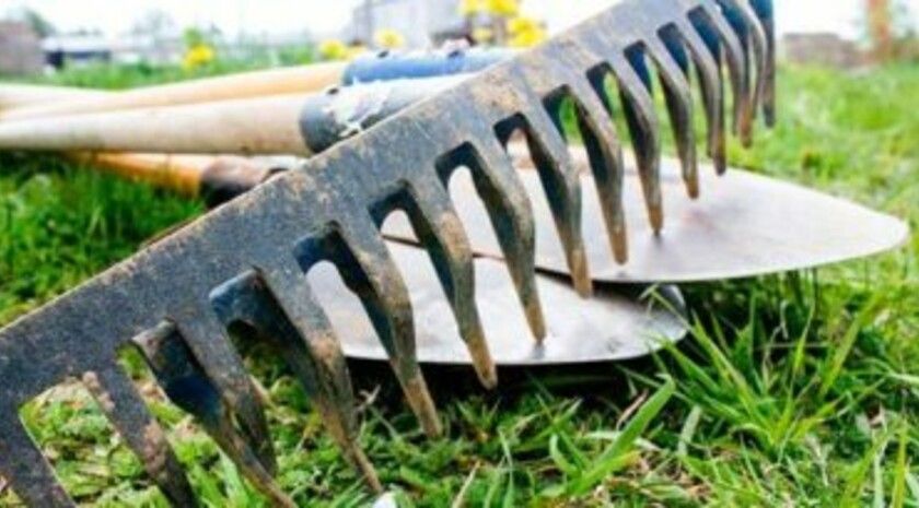 ���������� ������������� �������� � ��������� ������ ����� � ���� ������