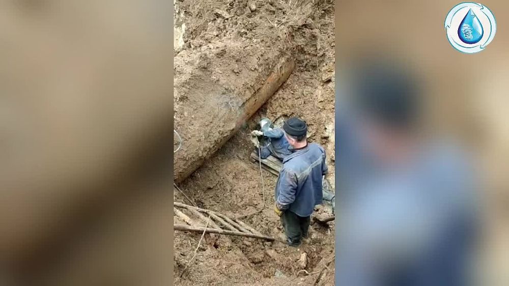 ��� ��� "�����������" ��������� ��������� ������ �� ��������� ���������� ����������