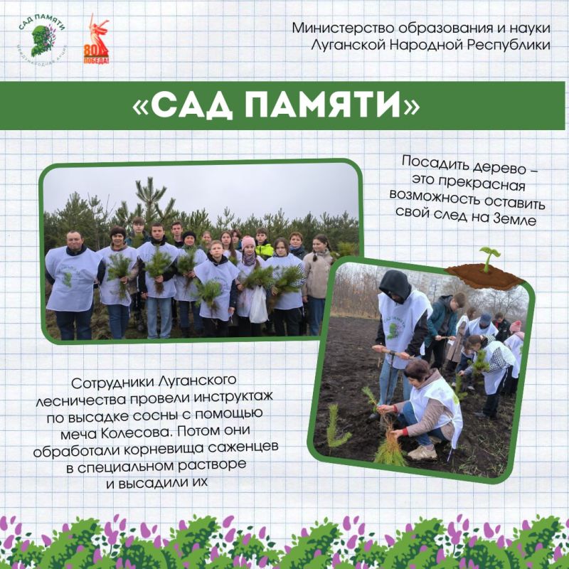 +1 ��� ������. � ������ �������� �80 ������ ��� �������� ������������ �������� �� ��������� ������� ����� �38 � �������� ������ ������������ ������� ������� � ������������� ����� ���� ������