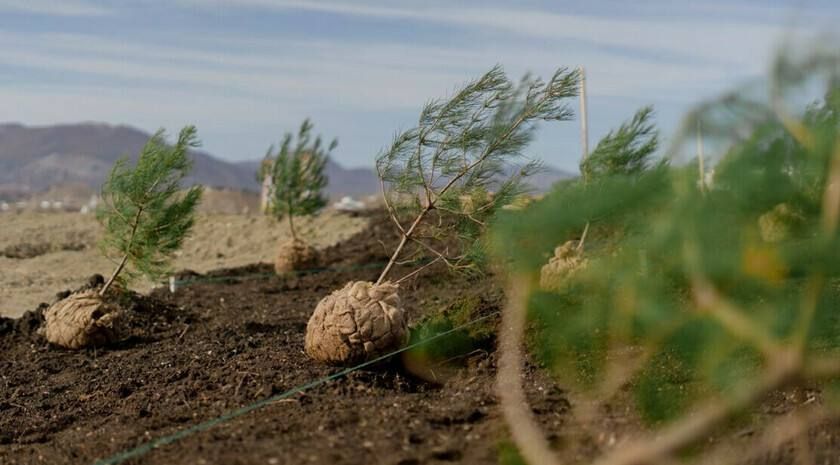 ������������� ��������� ��� ���������� ������� �������� � ���, �����������, ���������� ������� � ������-��-����