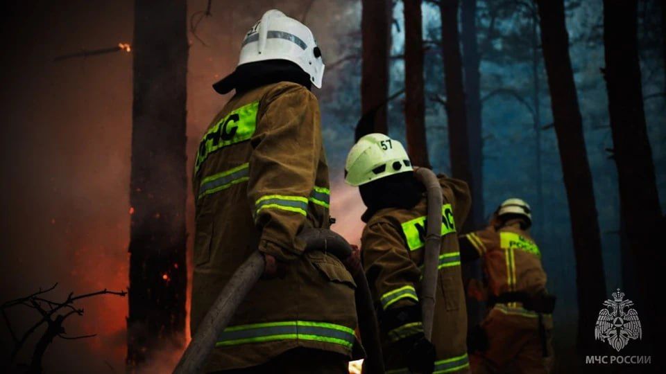 �� ����� � ��� ������������� 13 ������� ��� ������������