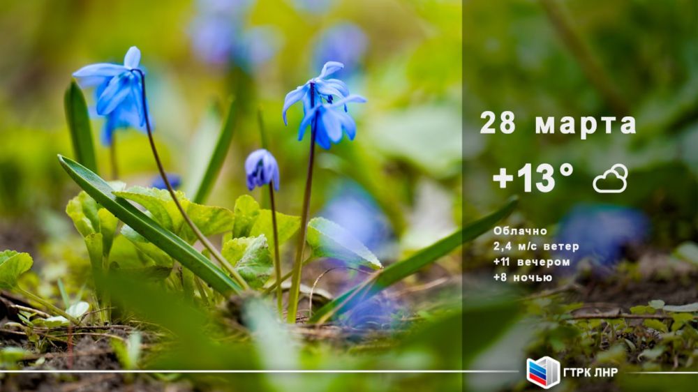 ������ ����, ��������� �������� ����������!