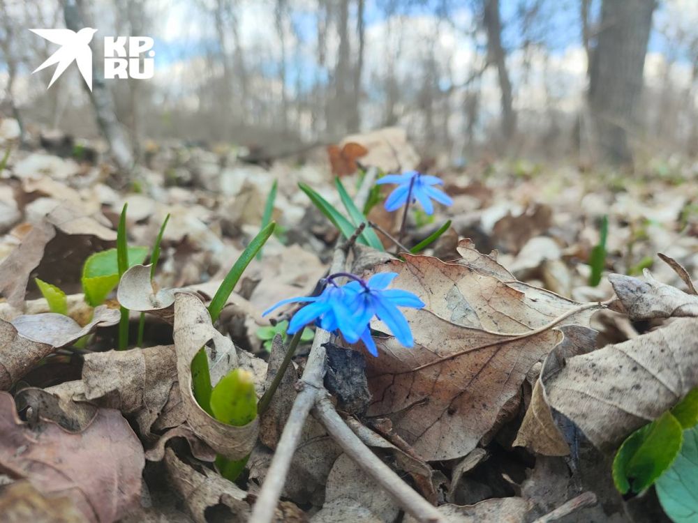 ������� ������ � ��� �� 28 �����