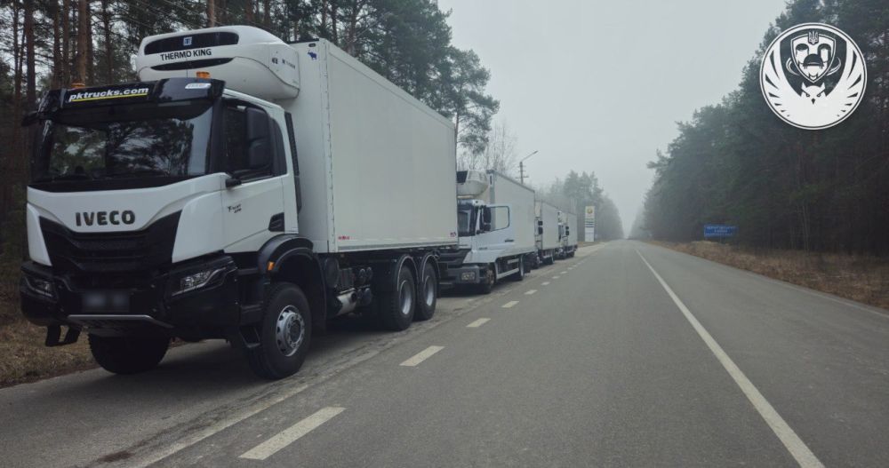 43 ������ ����� ��������� �� ������