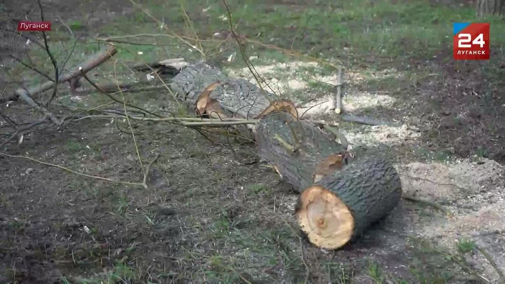 ����� ������� ���������� ���������� � �������