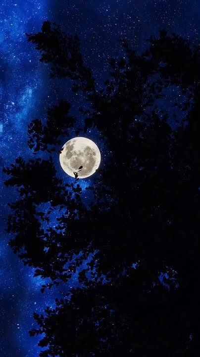 ���� ������ ������ � ���� � ������� �������� � ����, ������� ������ ������, ������� ���� �� ����� �� �����