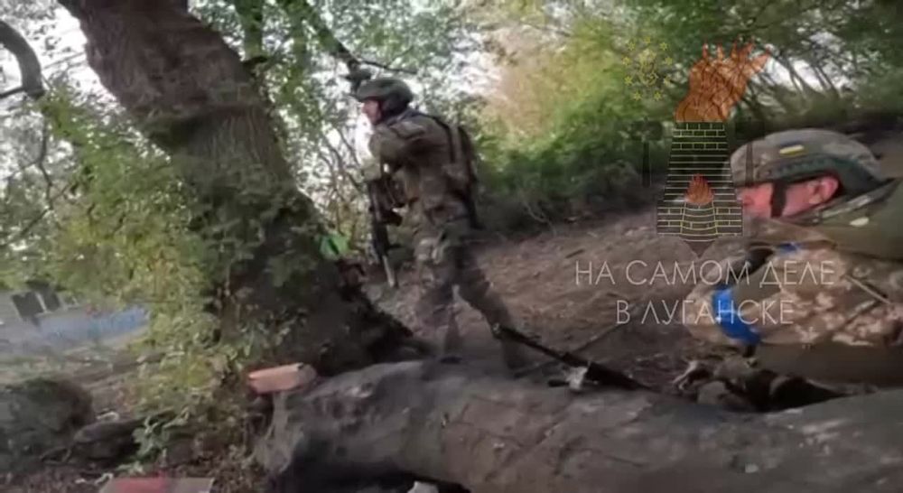 �������� �������� �������� ��������� � ������� �������