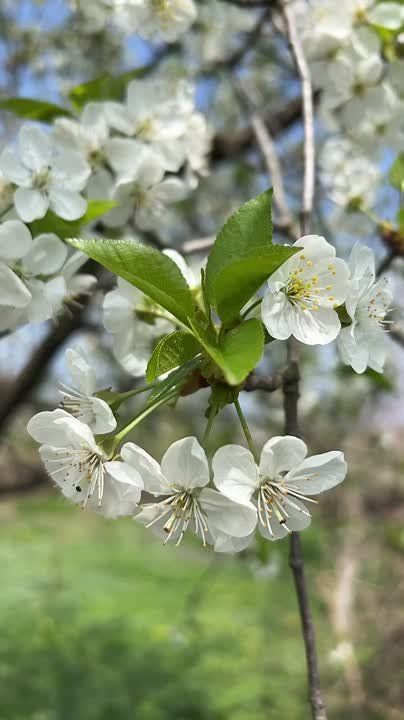 ����� � ��� 10% ����, ��� � ���� ����������, � 90% ����, ��� �� �� ��� ����������