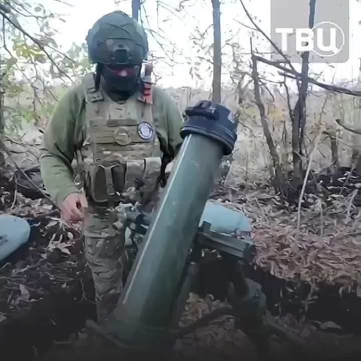 ��� ���� ���������� � �������: ���� ���� �� ��� ����� �� �����