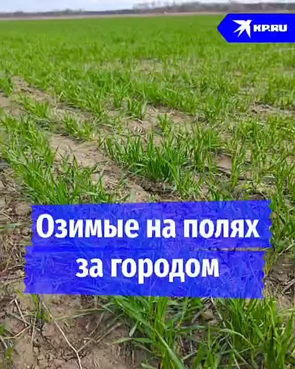 ������ ������� ��������� �� ���� ���� � ����� � ������ �������� �� ����� �� ����� �������