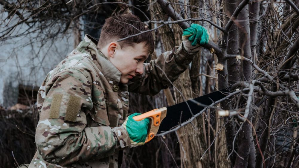 15 ����� ��������� �������� ���� ������ ���������� ���������������� ��������� ������������� ������������ ����������� ��������� ������� ��������, ������������ ������������ ������ �������� ��������� ������ � ������� �������...