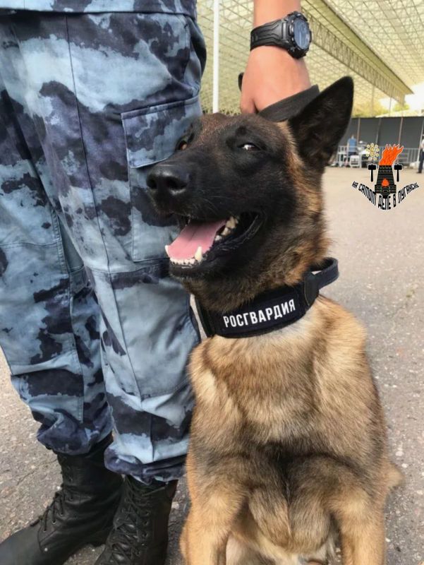 ��� ���� ������� ����������