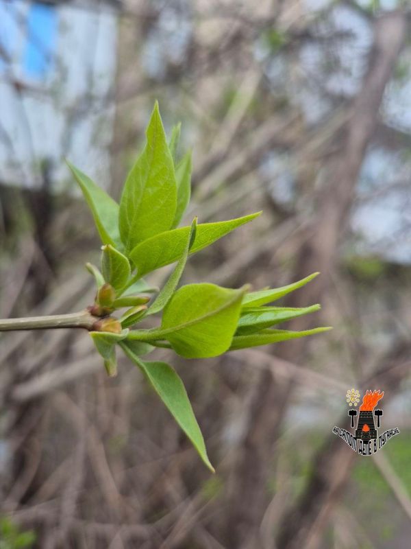 ����� ������ � �������. ��� ������� ����������� � �������� ������ �����...� ����� ���������� ����� �� �������� � ��� ����� ��������