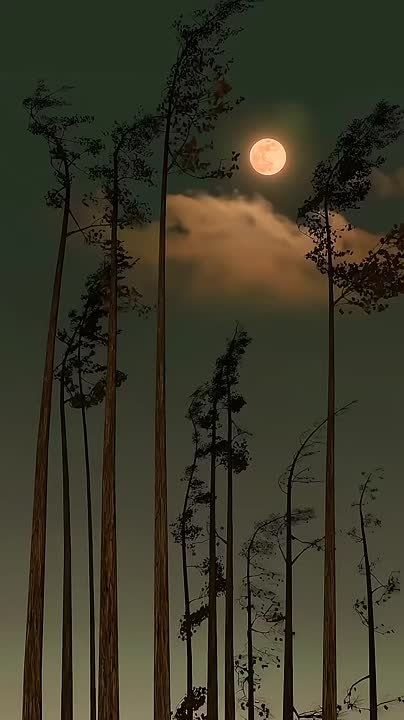 ����� ��������� ���� ���������, ���� ����� ���� ��� �����������, � ���������� ������, �������, � ������� ��� ������ ��������