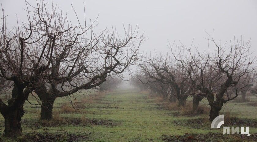 ��������� ������������ 2 ������ � ��� �� 20 �������� ����� � ��������� �����