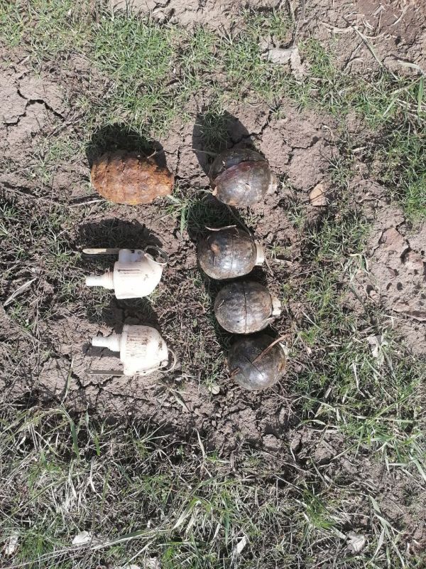 �� ���������� ��������������� ������ ����������� ���������� ������� �������