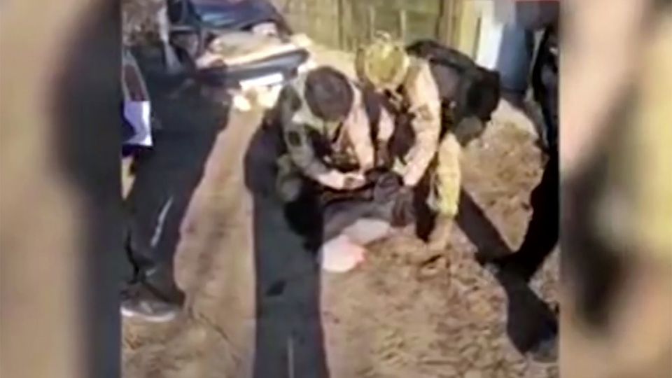 ��� ��������� ��������� ���������������� �����������