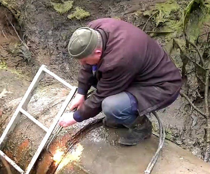 ����������� "�����������" ������� ������ ���������������� �������������� ��������