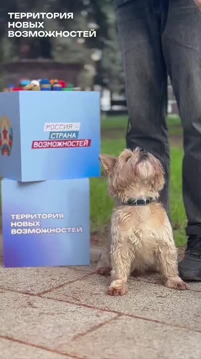 ����� � ����� �����!. ������� ������� � ������ ������������ ��������� ����������������� ����� �� ����� ����������� ��������! �������� �� ����� �� �������� ������������� ��������� � �������� �� 11 ������