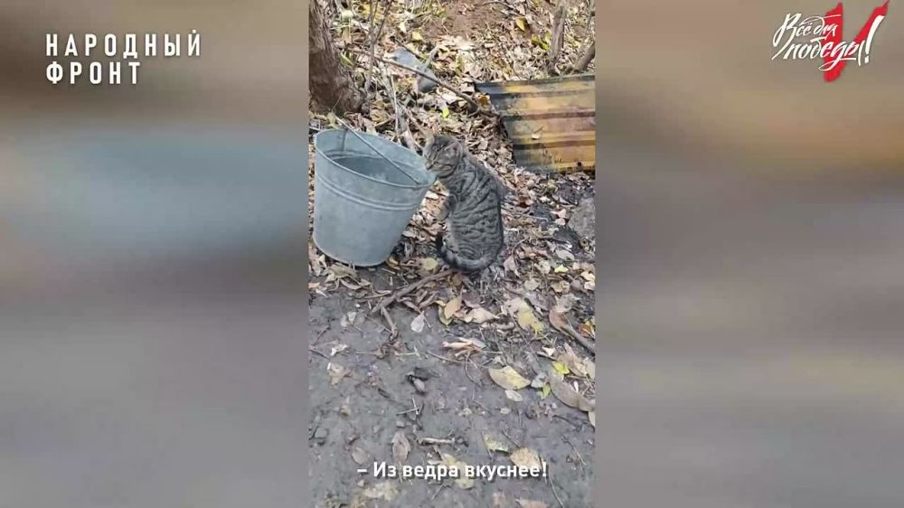 ������� �� ������������ � �������� ����� ���� ������� �� ����� �������� �� ��������� ����������� � ������ ��� ����, �������� ������������� ������������ ��������� ��������� ������