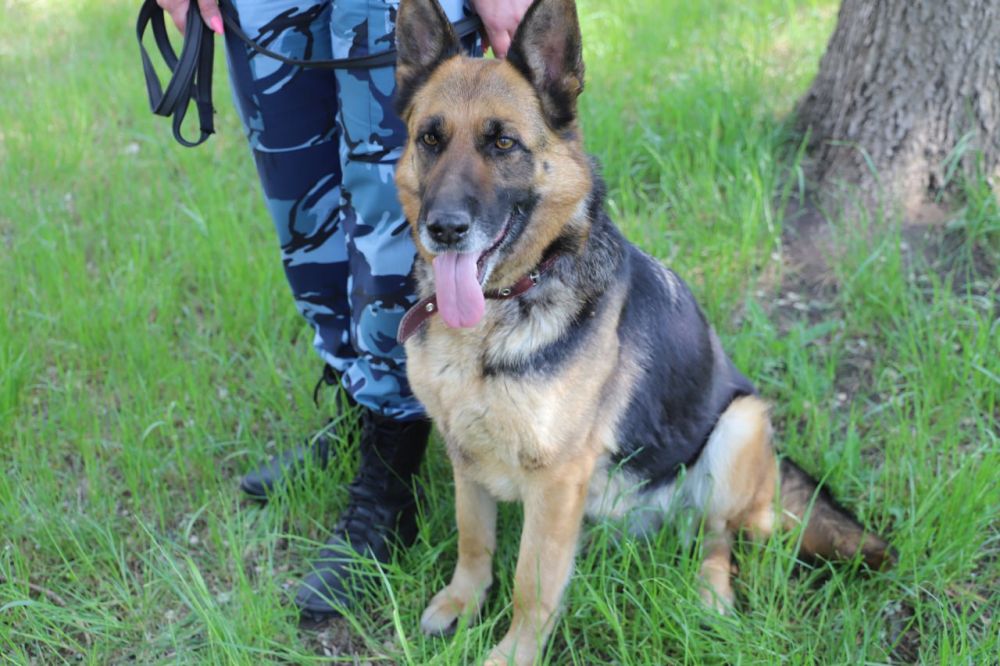 ����������� ������������ ���������� ��������� �������������� � ����� ����� �� ���� ������� ����������