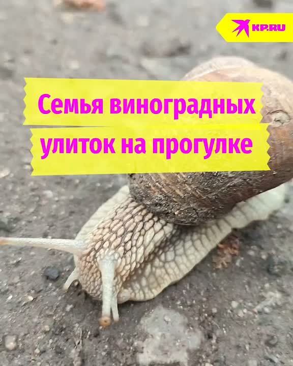 ��������� �������. ����� ����������� ������ ����� �� �������� ����� � ����� ��������� ��������