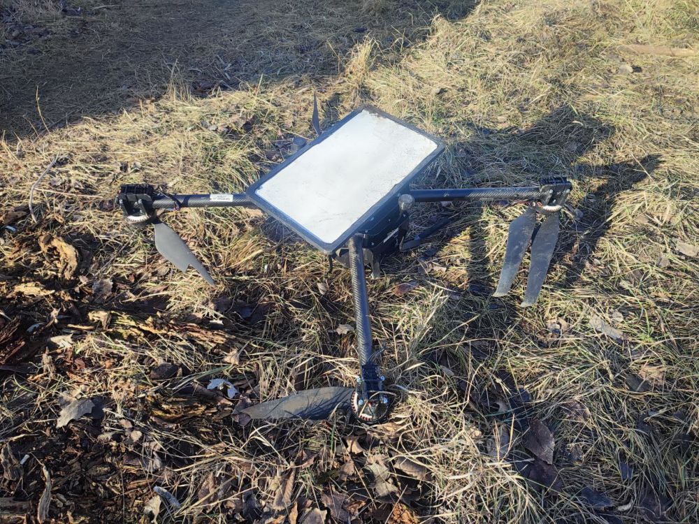 #__. *2 -    &quot;- (  )&quot; ( 1-4)