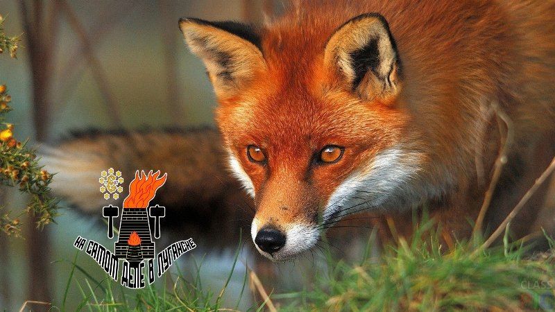 � ������� � ����� ������� �������