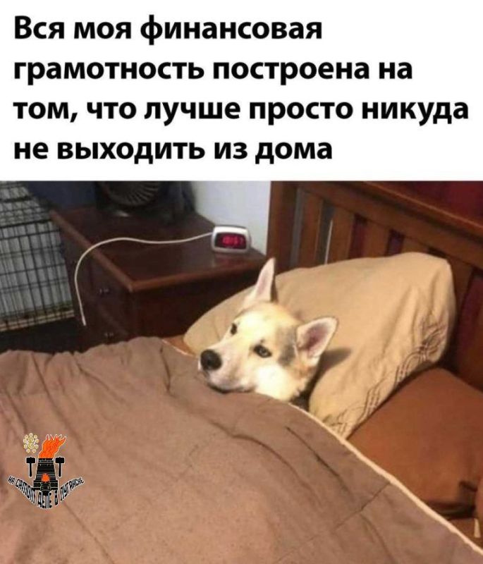 ��� �� ���������� �����������?