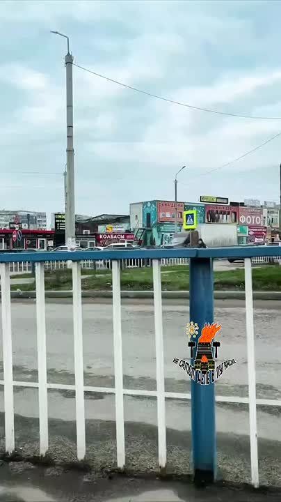 ����� �������� ����� �� 147 �������