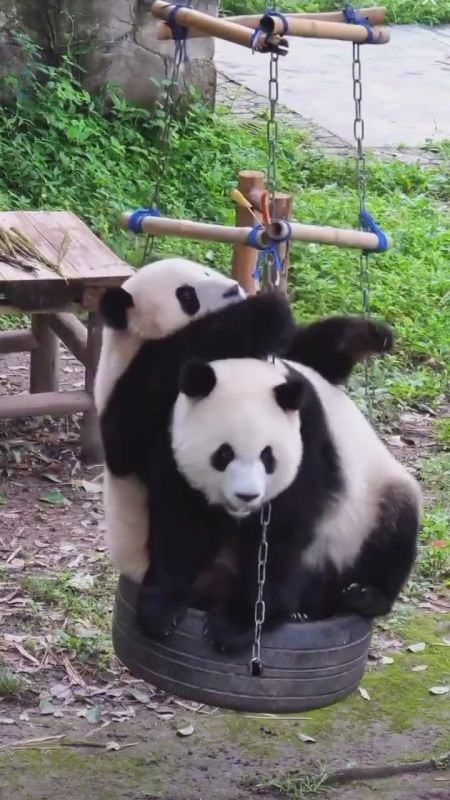 ���� ���� ��������� ���, ������ � ��������� ������