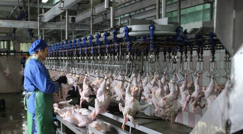 ��������� ��������������� ������������ � � ������ �������� ������