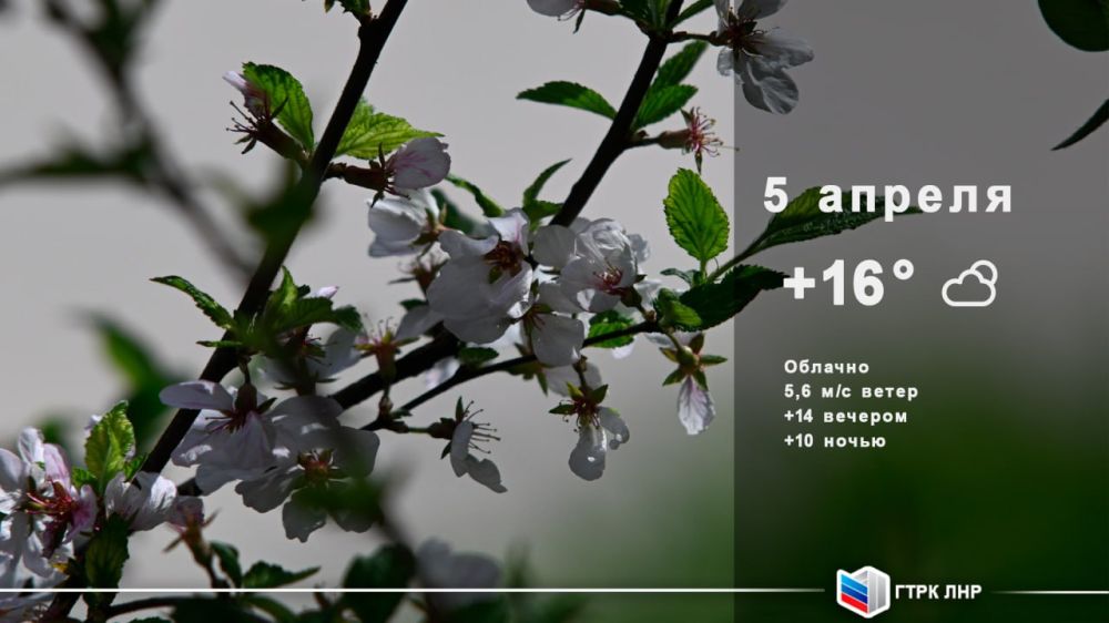 ������ ����, ��������� �������� ����������!