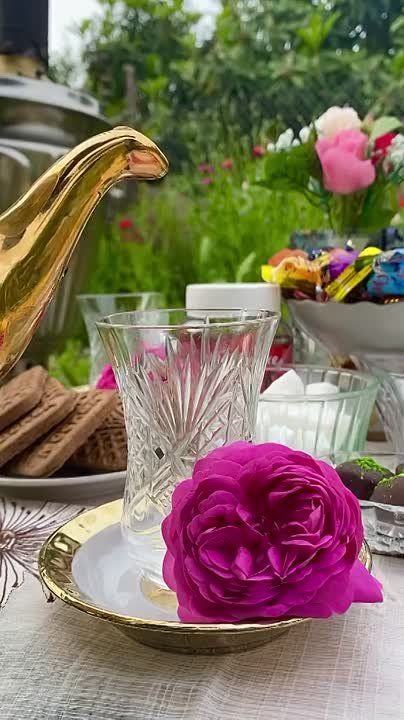 ������� ��� ���� �� ��, ��� �������� ��� ����: ��� ���������, ����� �������� ��, � ��� ��� ����� �� ������ ����