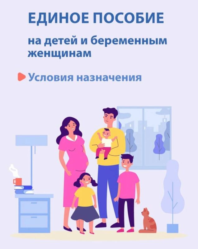 Инна Швенк: К нам в аппарат часто поступают звонки/обращения с вопросом, какие доходы учитываются при назначении единого пособия в ЛНР