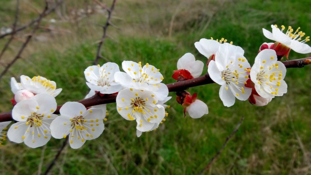 ��� �������� �������� �� ���������� � ���: ������ ����������������